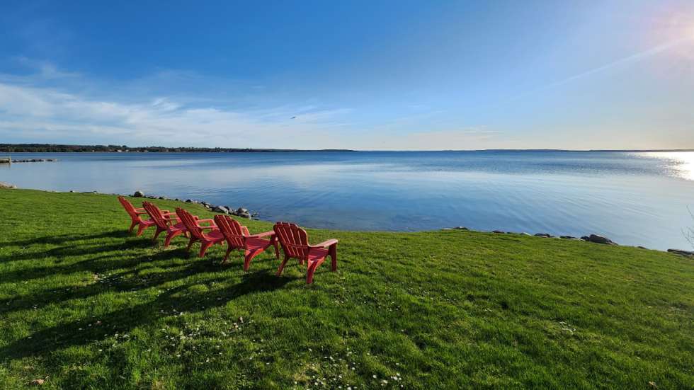 pet-friendly-vacation-rentals-in-northern-michigan